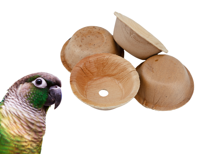 PALM LEAF CUPS for pole refills and making bird toys! | Round Small | Natural bird toy parts