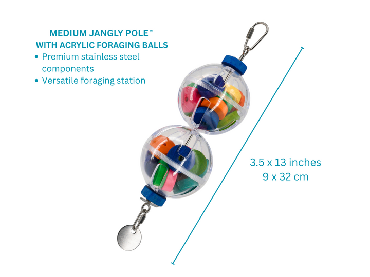 REFILLABLE FORAGING BALLS on medium Jangly Pole™ // Refillable stainless steel bird toy base with acrylic foraging ball
