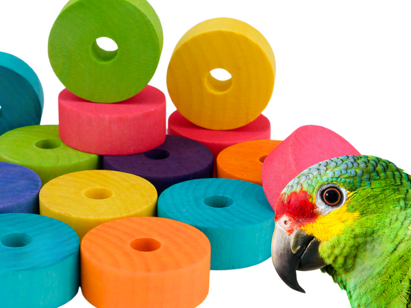 LARGE ROUND BLOCKS | Set of 50 | Large discs for bird toys, poles and skewers | Bird toy parts | Medium Large