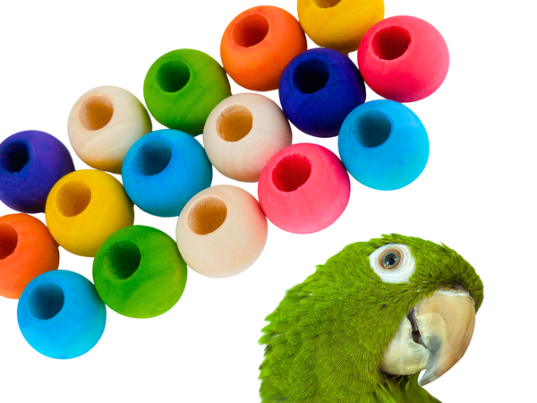 WOOD BEADS for bird toys, poles and skewers | Set of 50 | Bird toy parts | Small | 22mm with 10mm hole