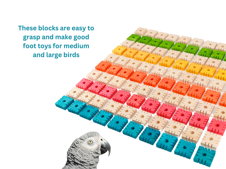 PINE BLOCKS for custom bird toys and pole refills | Set of 100 | Various sizes