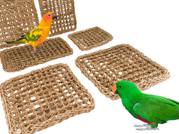 SEAGRASS MATS | Set of Two | All natural woven shredders | Great for making custom bird toys