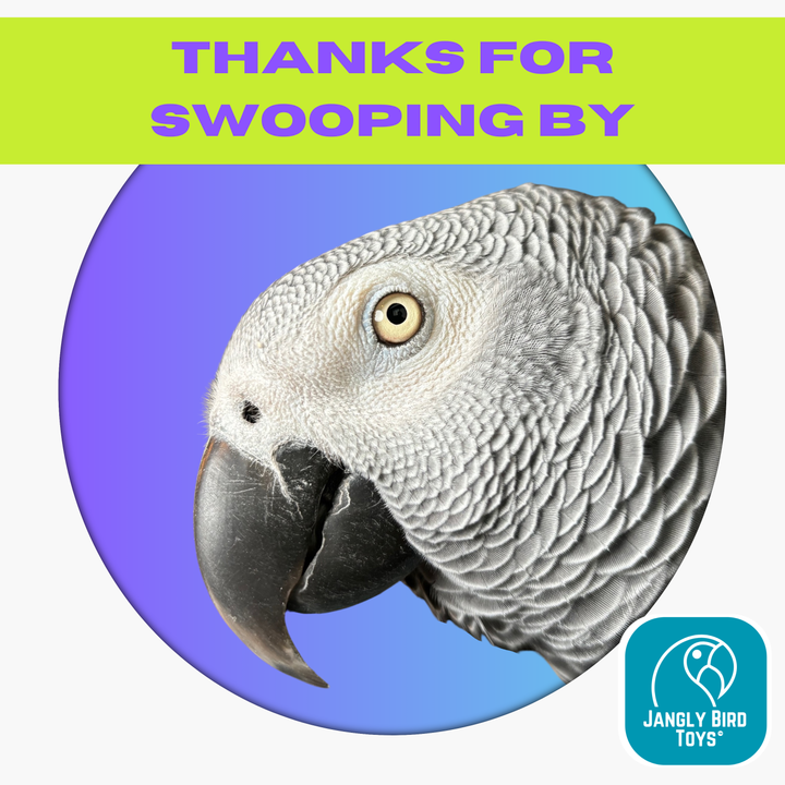 GANGLY JANGLY™ refillable stainless steel bird toy platform pre-loaded with crunchy and chewy palm leaf shredders | Medium