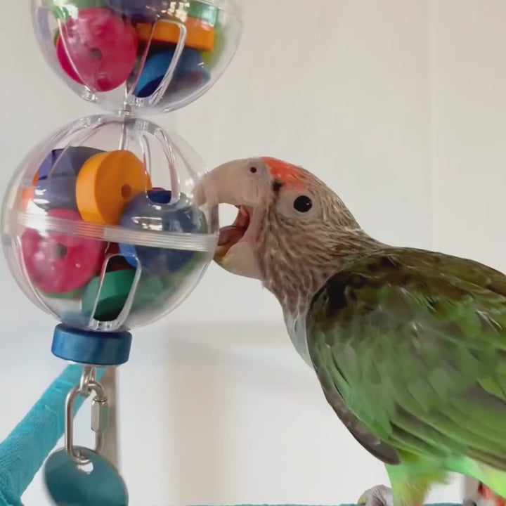 REFILLABLE FORAGING BALLS on large Jangly Pole™ // Refillable stainless steel bird toy base with acrylic foraging ball
