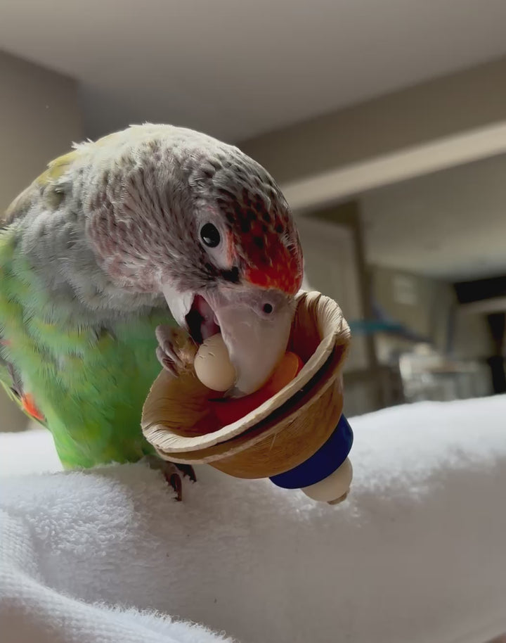 PALM LEAF CUPS for pole refills and making bird toys! | Round Small | Natural bird toy parts